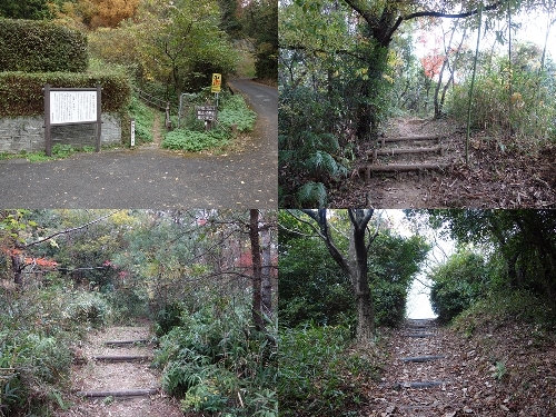 登山口と登山道