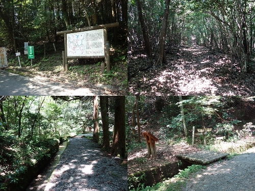 登山道