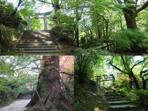 仁比山神社