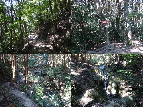 正現岳