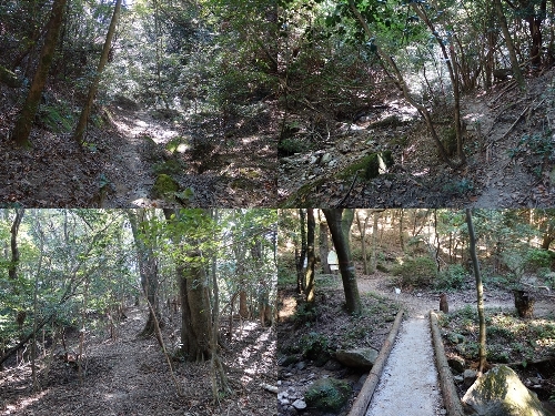 下山ルート