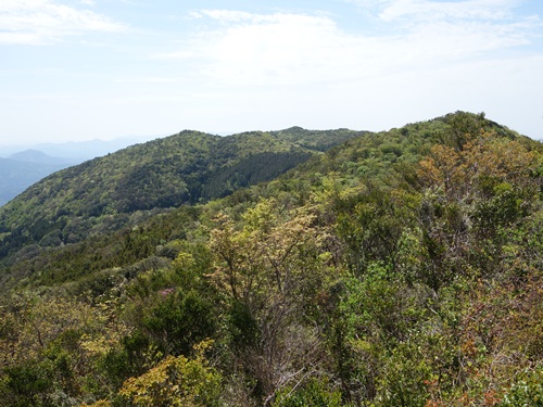 作礼山