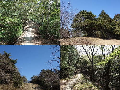 大城山