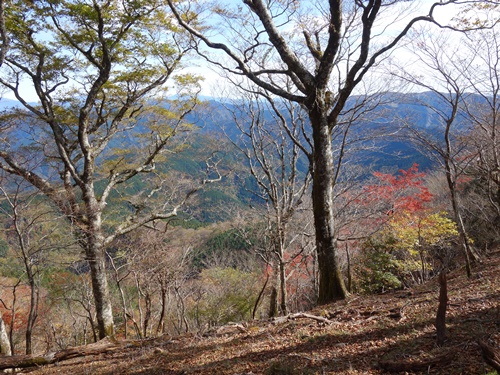 登山道から