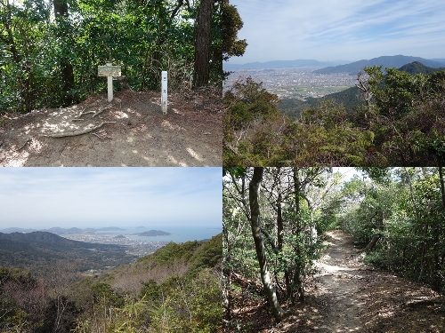 叶岳