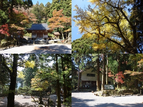 金泉寺