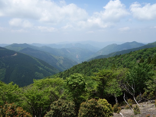 登山道から