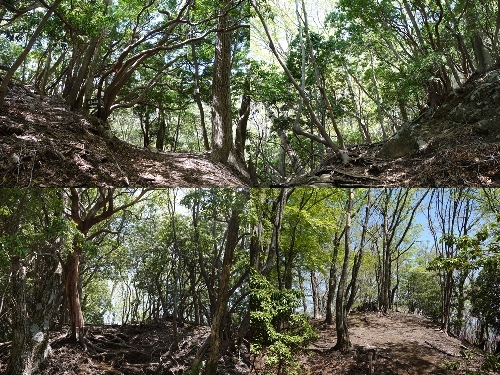 緩木山山頂